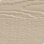 Oyster Shell